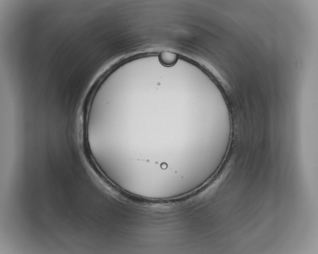 X0000111881126200907231421