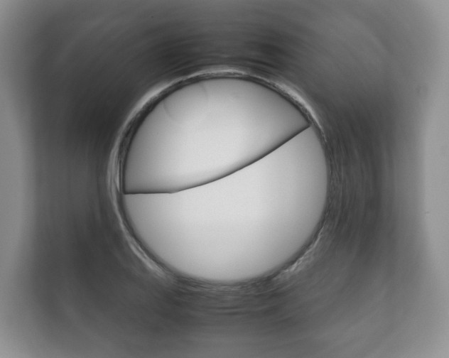 X0000111881127200907231421