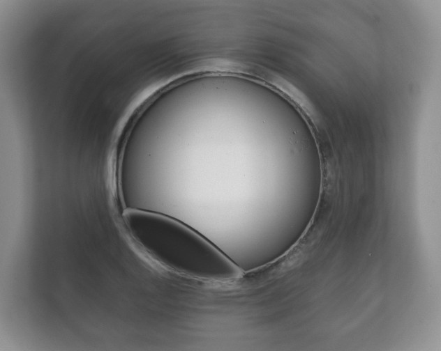 X0000111881128200907231421