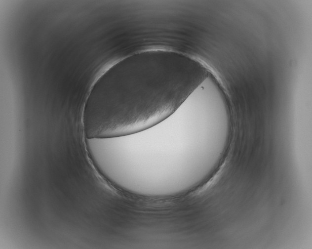X0000111881129200907231421