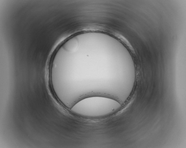 X0000111881130200907231421