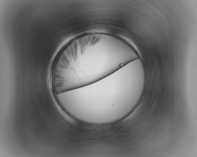 X0000111881131200907231421