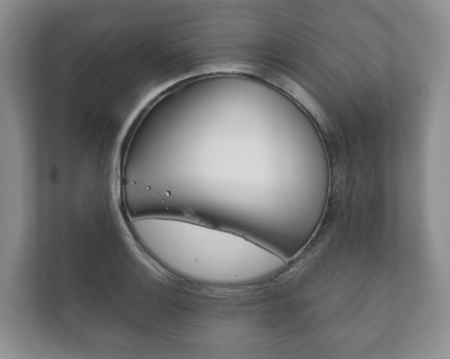 X0000111881132200907231421