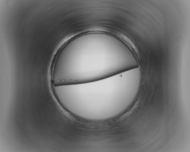 X0000111881133200907231421
