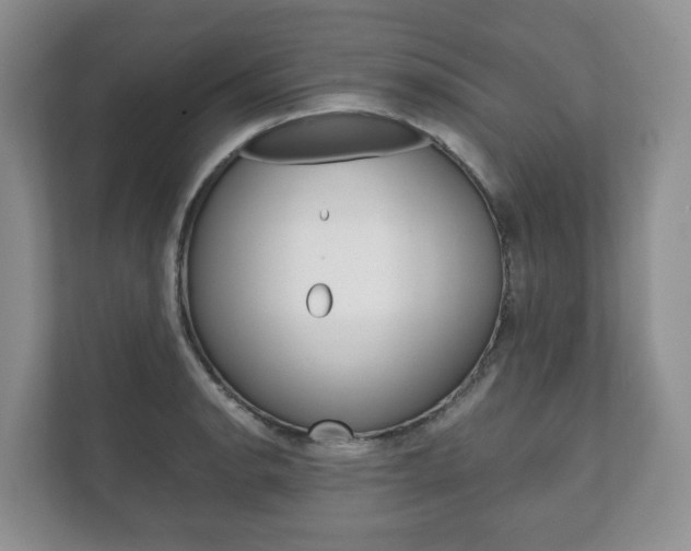 X0000111881134200907231421