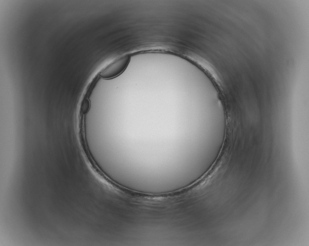 X0000111881135200907231421