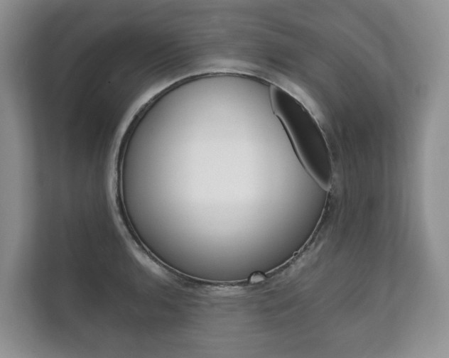 X0000111881136200907231421