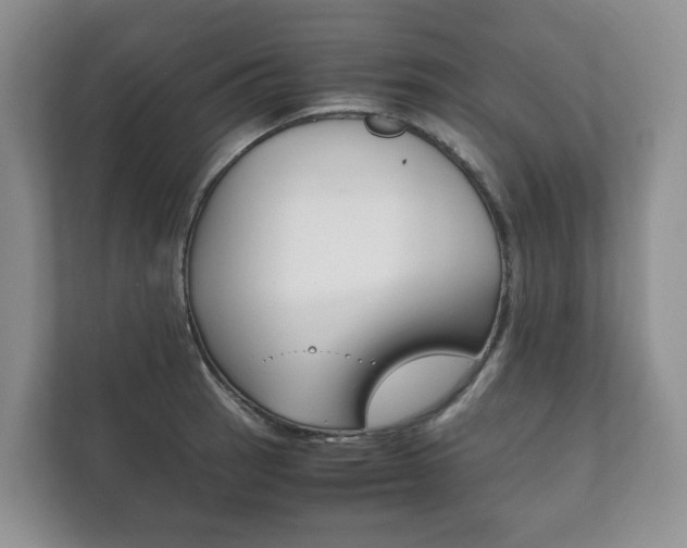 X0000111881137200907231421