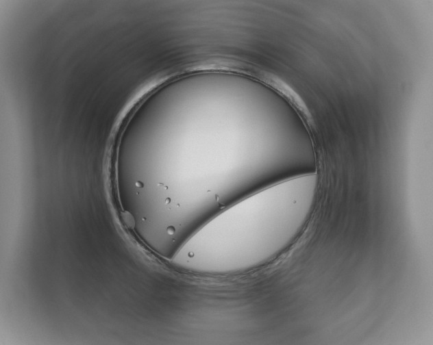 X0000111881138200907231422