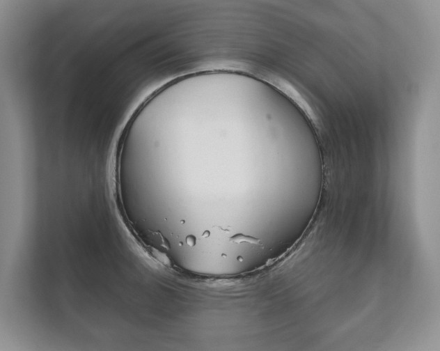 X0000111881140200907231422