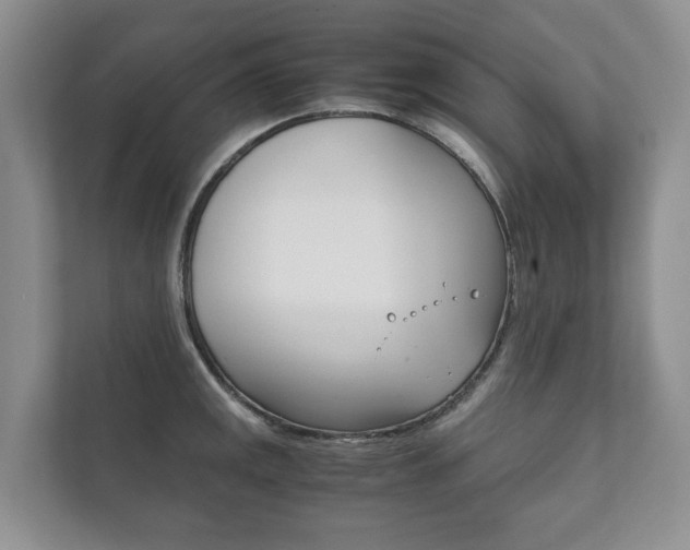 X0000111881141200907231422