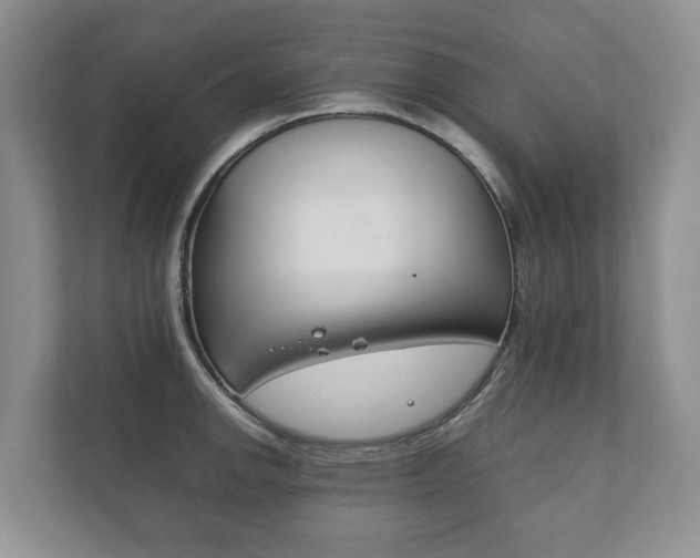 X0000111881142200907231422
