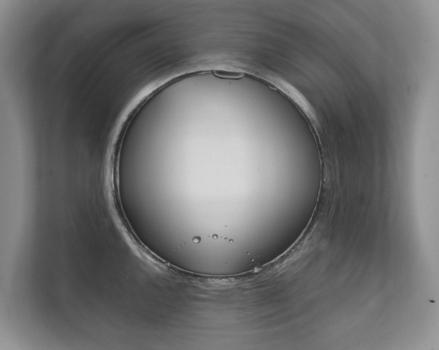 X0000111881144200907231422