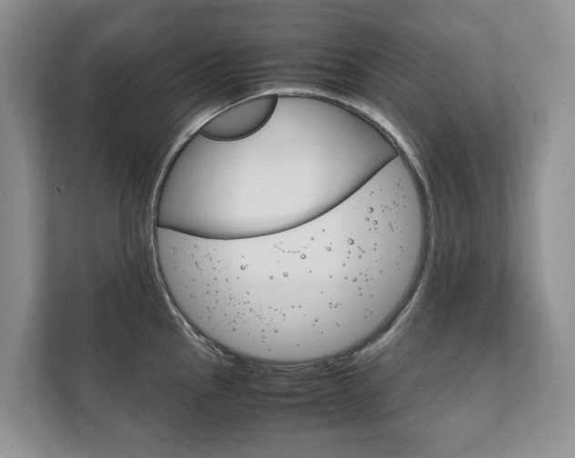X0000111881145200907231422