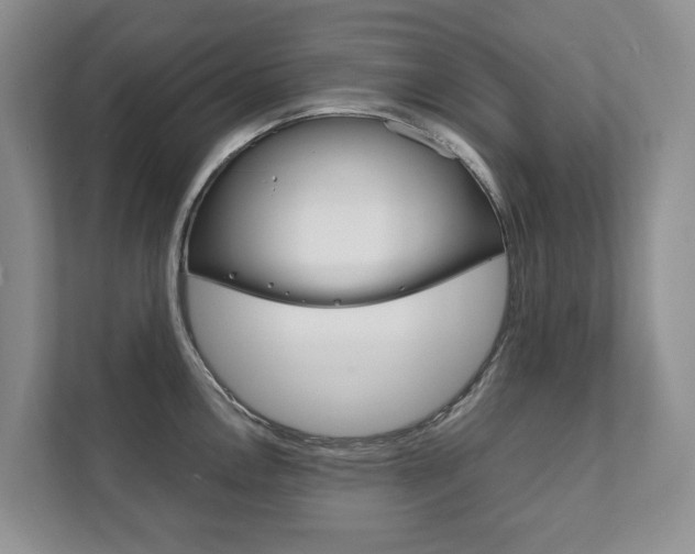 X0000111881146200907231422