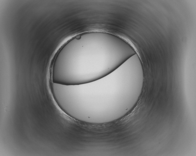 X0000111881147200907231422