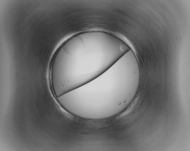 X0000111881149200907231422