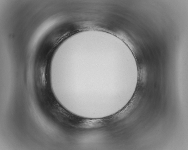 X0000111881150200907231422