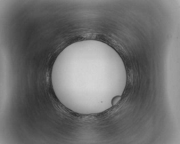 X0000111881154200907231421