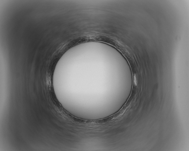 X0000111881155200907231421
