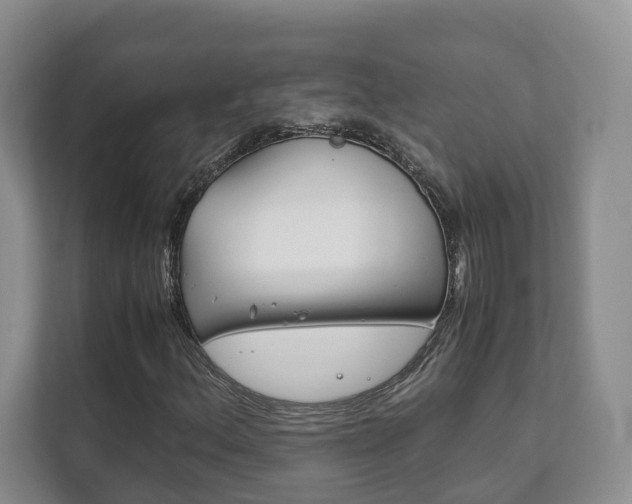 X0000111881156200907231421