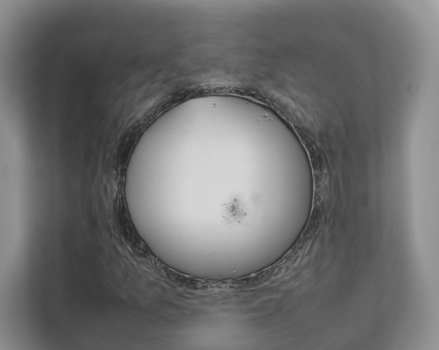 X0000111881157200907231421