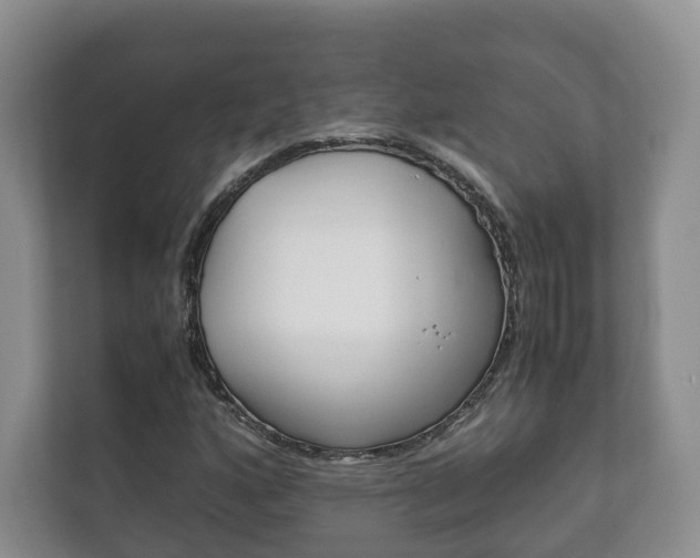 X0000111881160200907231421