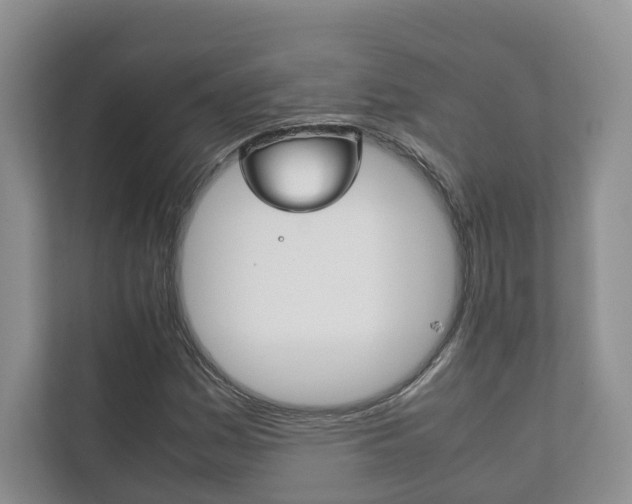 X0000111881161200907231421