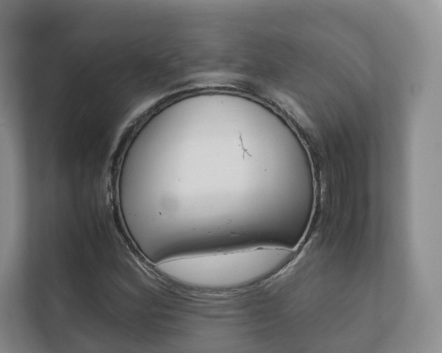 X0000111881164200907231421