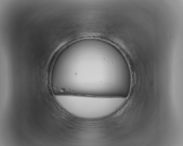 X0000111881165200907231421
