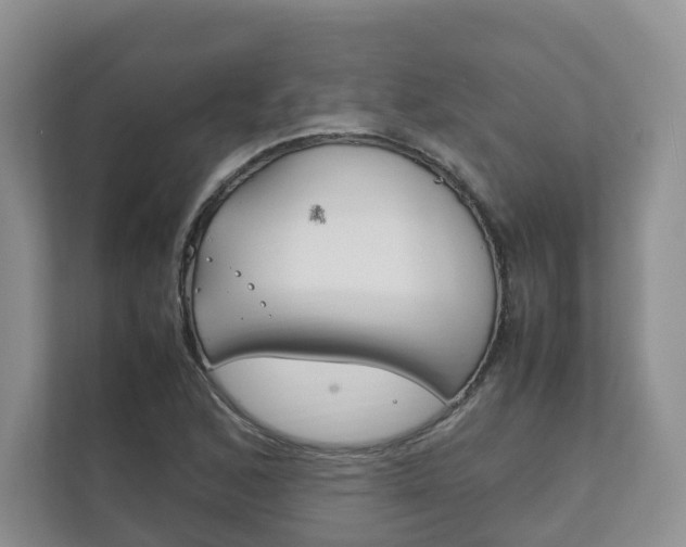X0000111881168200907231421