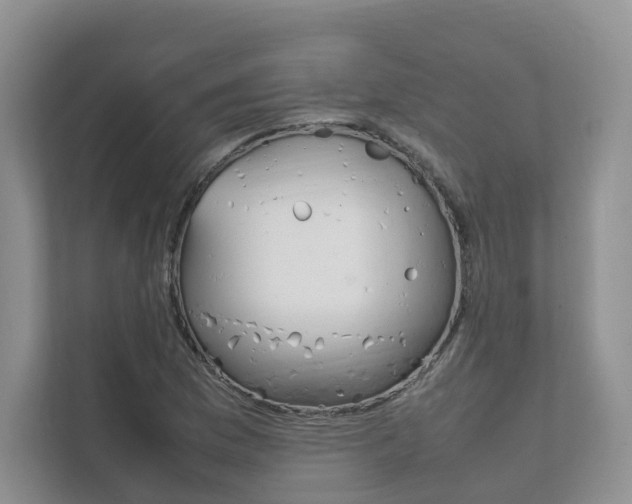 X0000111881169200907231421
