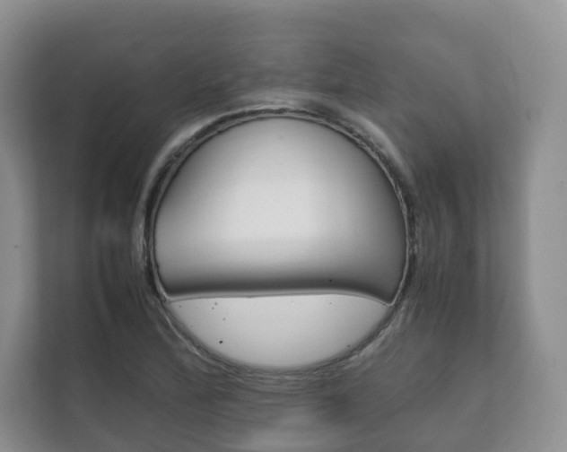 X0000111881172200907231421