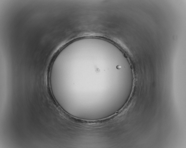 X0000111881173200907231421