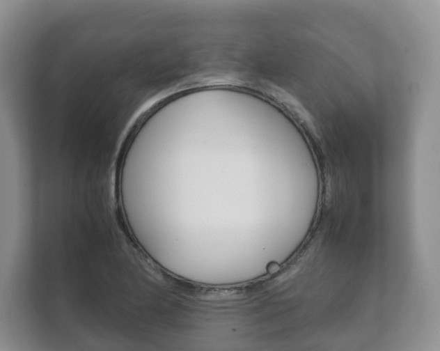X0000111881174200907231421