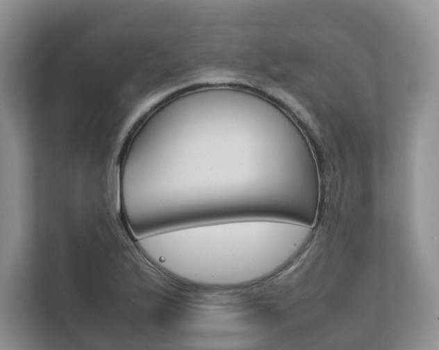 X0000111881175200907231421