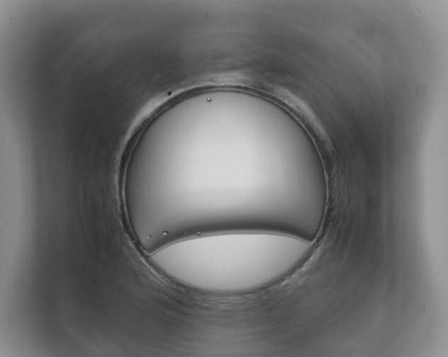 X0000111881176200907231421