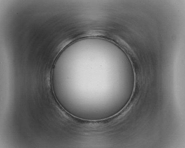 X0000111881177200907231421
