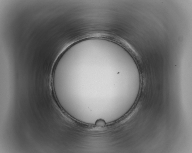 X0000111881178200907231421
