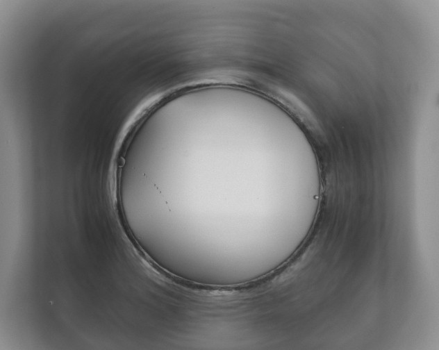 X0000111881180200907231421