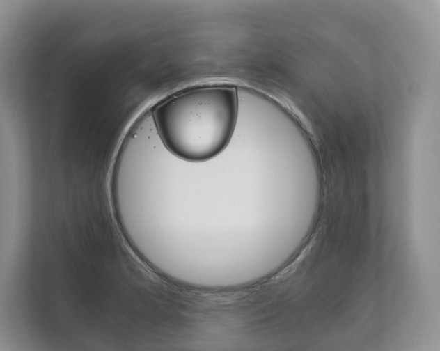 X0000111881181200907231421