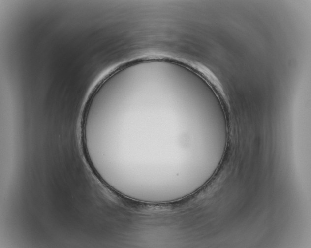 X0000111881183200907231421