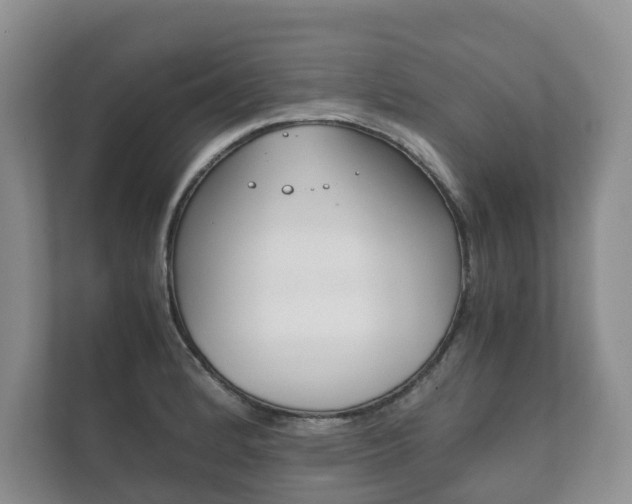 X0000111881184200907231421