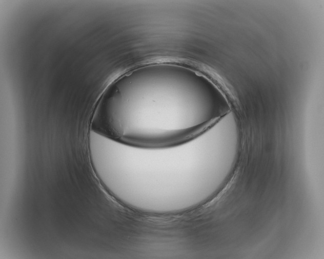X0000111881185200907231421