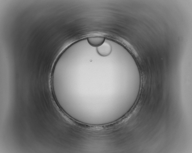 X0000111881186200907231421