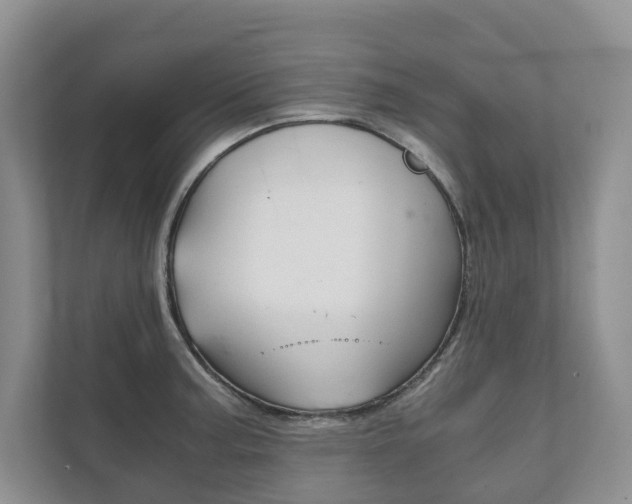 X0000111881187200907231421