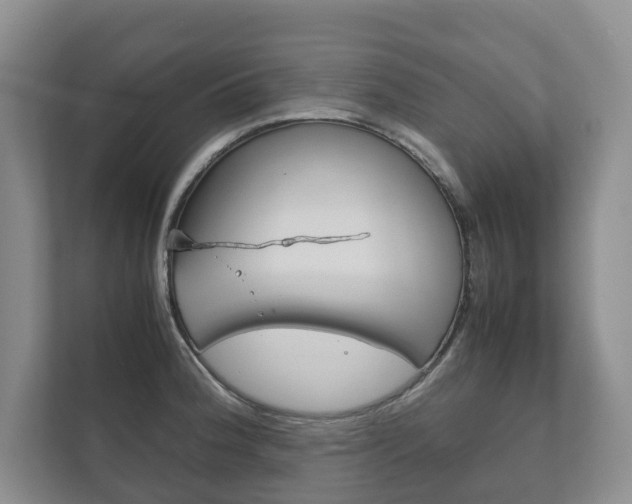 X0000111881188200907231421