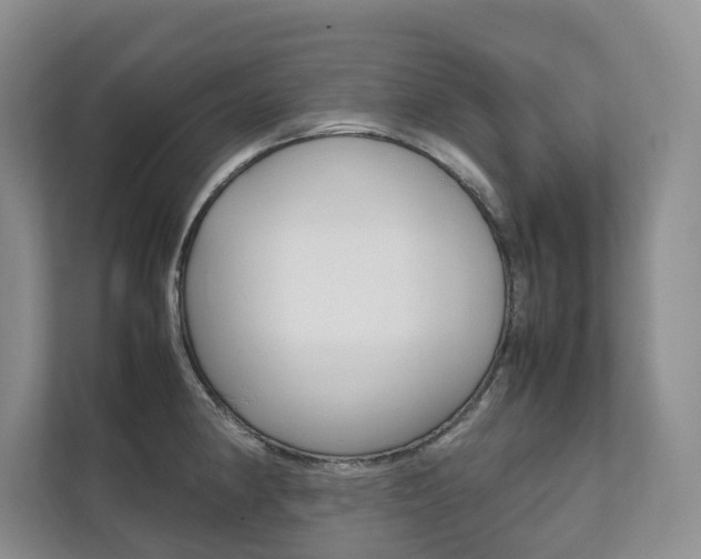 X0000111881190200907231421