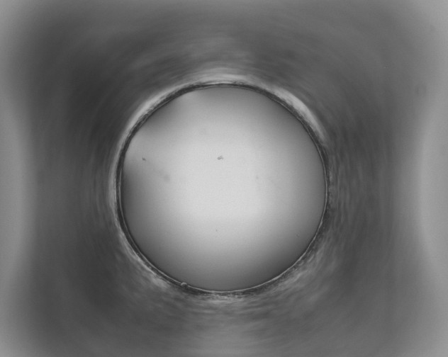 X0000111881191200907231421