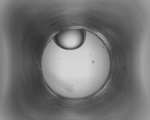 X0000111881193200907231421